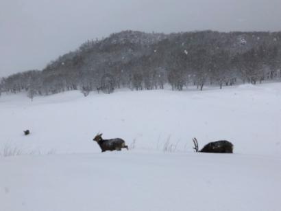 ＝十八层高楼买十四层好吗